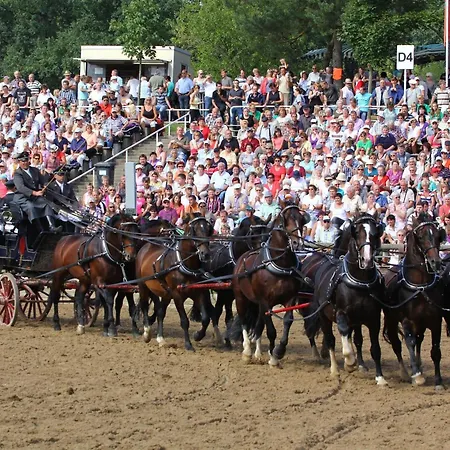 Eisenberger Hof Guest house