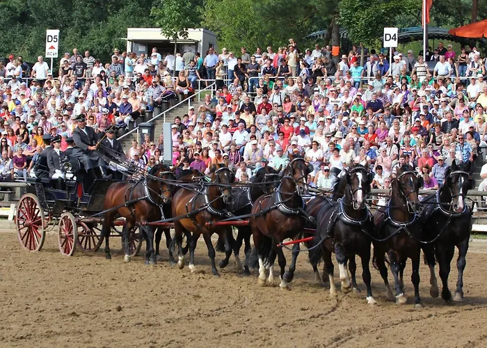 Eisenberger Hof Πανσιόν